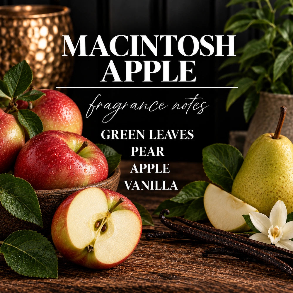 MACINTOSH APPLE